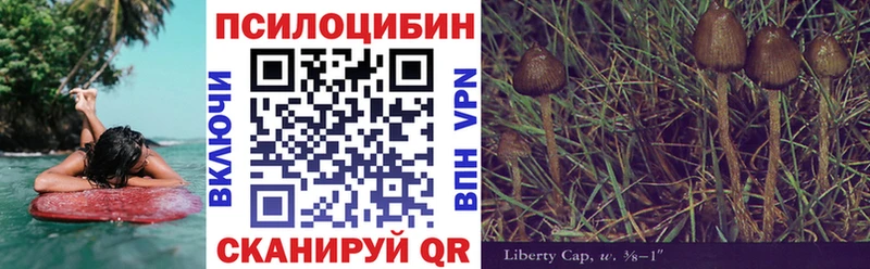 Псилоцибиновые грибы Psilocybe  Котельниково 